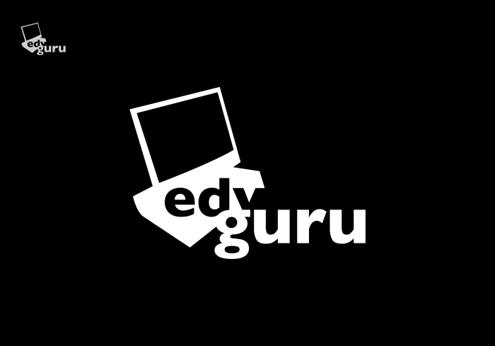 Partnervertrag Mit Dem Edv-Guru